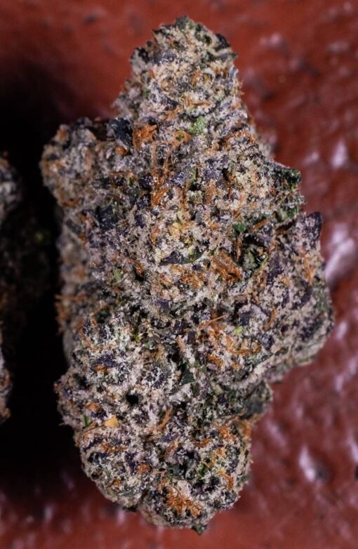 Space Jam, a potent hybrid strain that’s here to take your mind to another galaxy. Known for its intense cerebral buzz and smooth body relaxation, this strain blends the best of both indica and sativa worlds—perfect...