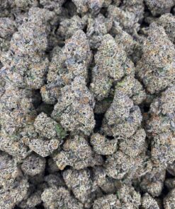 Black cherry gelato strain, is a slightly indica-dominant hybrid cannabis strain (approximately 60% indica and 40% sativa) resulting from the cross between Black Cherry Funk and Acai Gelato.
