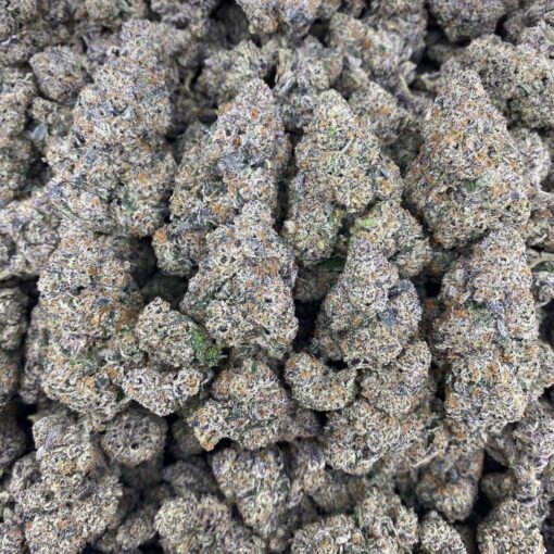 Black cherry gelato strain, is a slightly indica-dominant hybrid cannabis strain (approximately 60% indica and 40% sativa) resulting from the cross between Black Cherry Funk and Acai Gelato.