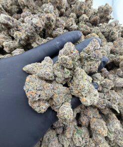 Apple Runtz, stands out as a versatile strain, offering a delightful flavor profile and balanced effects suitable for various occasions