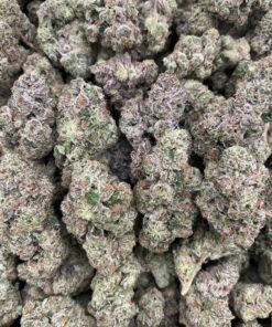 Apple Runtz, stands out as a versatile strain, offering a delightful flavor profile and balanced effects suitable for various occasions