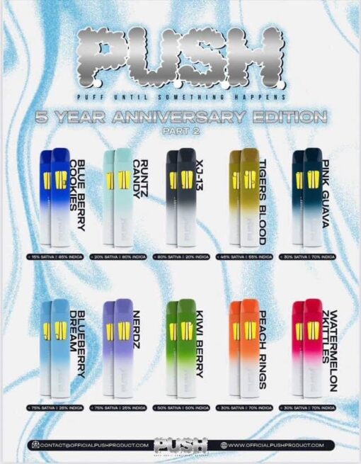 PUSH 2G Disposable gives you smooth, powerful hits and premium flavor — anytime, anywhere. Just charge, puff, and elevate.