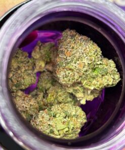 wizard tree high-grade 3.5g exotic flower that hits like a spell cast from the clouds. Hand-trimmed, perfectly cured, and loaded with sticky..
