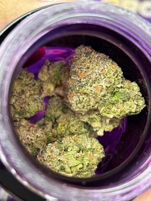 wizard tree high-grade 3.5g exotic flower that hits like a spell cast from the clouds. Hand-trimmed, perfectly cured, and loaded with sticky..