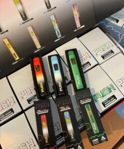 Shop 2G Push Disposable – a premium THC vape with 2 grams of oil. Smooth hits, bold flavors, and long-lasting effects in a rechargeable, clog-resistant design.