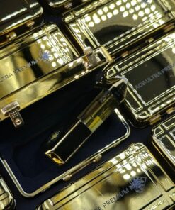 Ace Ultra Premium 2G Disposable — high-potency 2-gram THC vape packed with live terpenes for smooth flavor, powerful effects, and sleek design. Rechargeable, flavorful, and built for real connoisseurs.